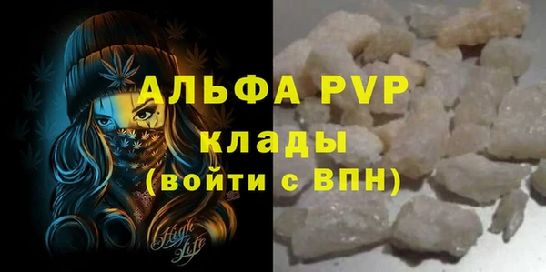 сатива Арсеньев