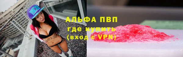 прущие крисы Аркадак