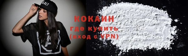 крисы Армянск