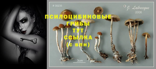прущие крисы Аркадак