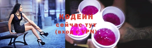 сатива Арсеньев