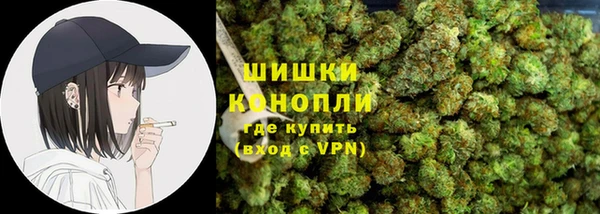 крисы Армянск