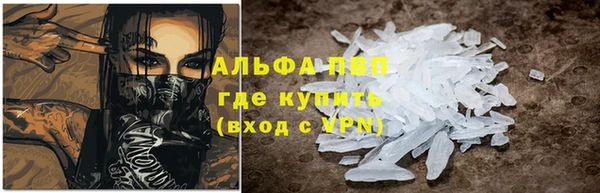 прущие крисы Аркадак