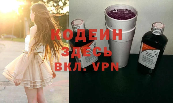 крисы Армянск