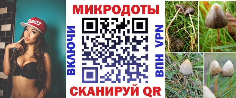 Галлюциногенные грибы мухоморы kraken онион Ессентуки