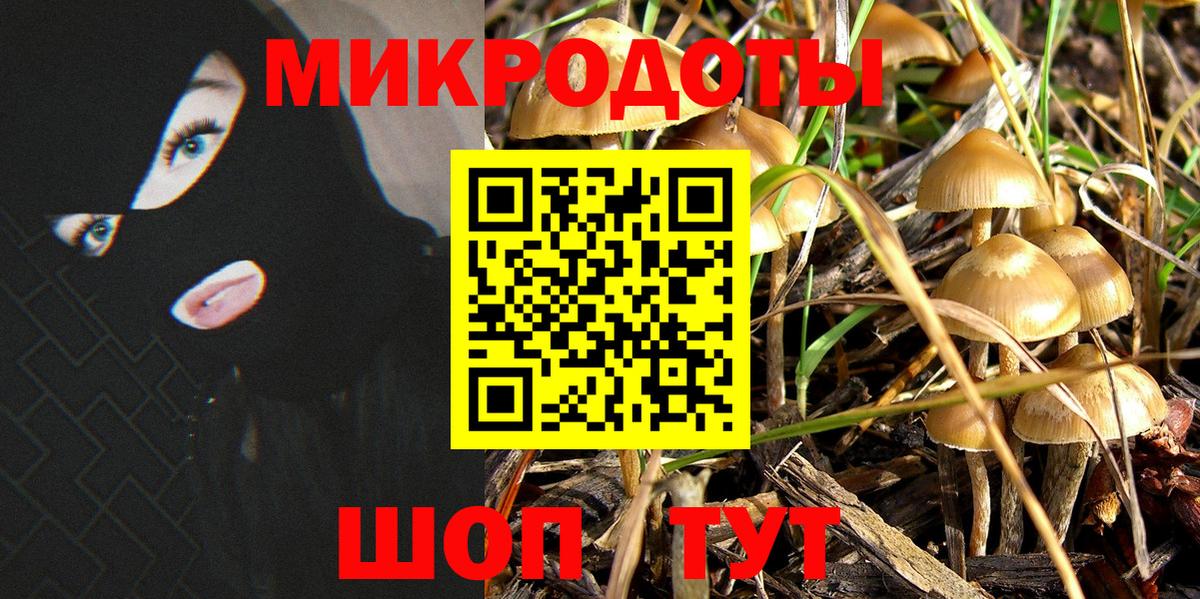 Галлюциногенные грибы GOLDEN TEACHER Ессентуки