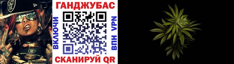 дарнет шоп кракен tor Каннабис сатива Ессентуки